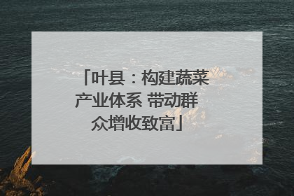叶县：构建蔬菜产业体系 带动群众增收致富