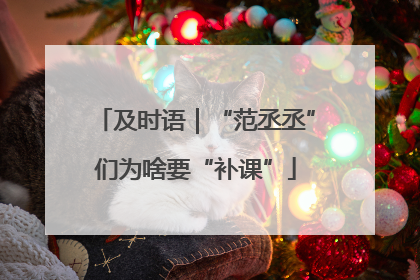 及时语｜“范丞丞”们为啥要“补课”