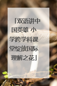 双语讲中国英雄 小学跨学科课堂绽放国际理解之花