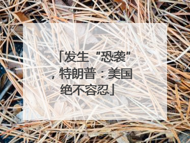 发生“恐袭”，特朗普：美国绝不容忍