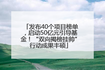 发布40个项目榜单，启动50亿元引导基金！“双向揭榜挂帅”行动成果丰硕
