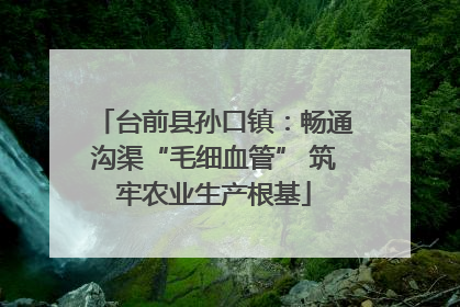 台前县孙口镇：畅通沟渠“毛细血管” 筑牢农业生产根基