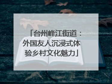 台州峰江街道：外国友人沉浸式体验乡村文化魅力