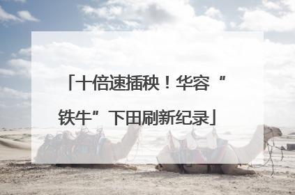 十倍速插秧！华容“铁牛”下田刷新纪录