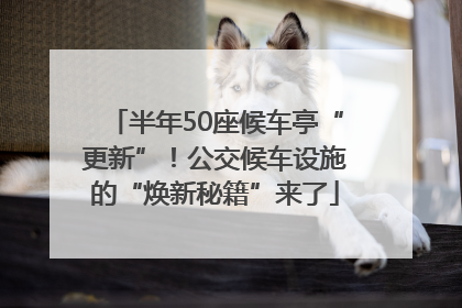 半年50座候车亭“更新”！公交候车设施的“焕新秘籍”来了