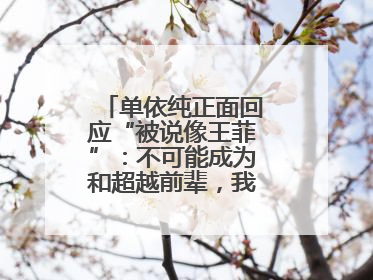 单依纯正面回应“被说像王菲”：不可能成为和超越前辈，我想致敬他们