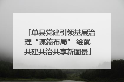单县党建引领基层治理“谋篇布局” 绘就共建共治共享新图景