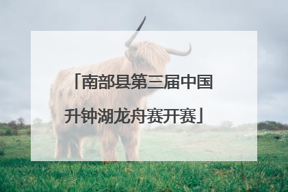 南部县第三届中国升钟湖龙舟赛开赛