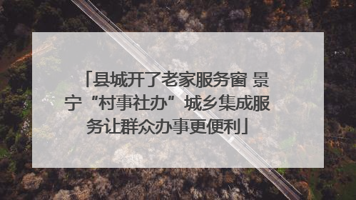 县城开了老家服务窗 景宁“村事社办”城乡集成服务让群众办事更便利