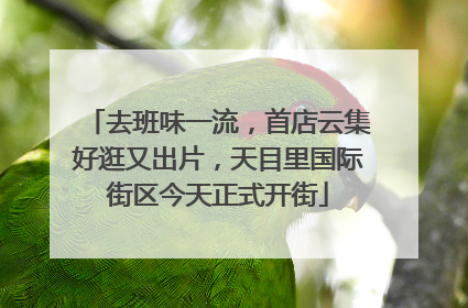 去班味一流，首店云集好逛又出片，天目里国际街区今天正式开街