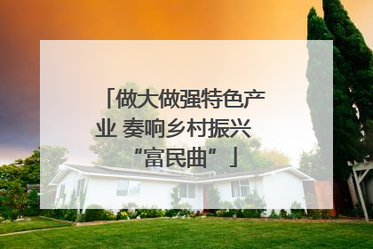 做大做强特色产业 奏响乡村振兴“富民曲”