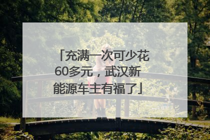 充满一次可少花60多元，武汉新能源车主有福了