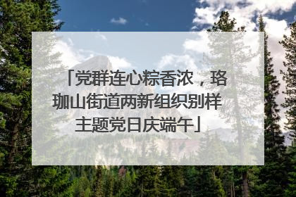 党群连心粽香浓，珞珈山街道两新组织别样主题党日庆端午