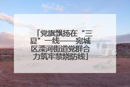 党旗飘扬在“三夏”一线——宛城区溧河街道党群合力筑牢禁烧防线