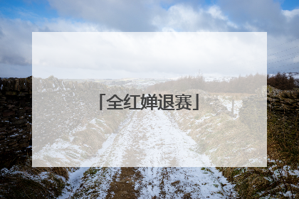 全红婵退赛