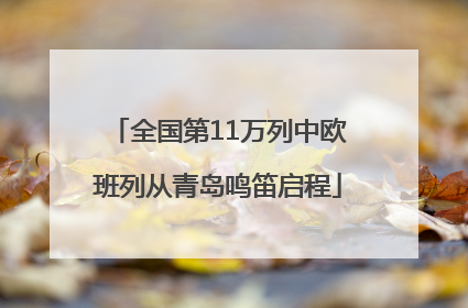 全国第11万列中欧班列从青岛鸣笛启程