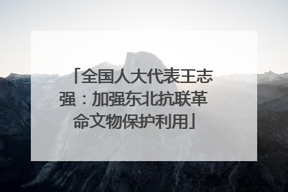 全国人大代表王志强：加强东北抗联革命文物保护利用