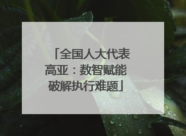 全国人大代表高亚：数智赋能破解执行难题