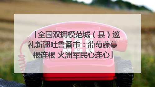 全国双拥模范城（县）巡礼新疆吐鲁番市：葡萄藤蔓根连根 火洲军民心连心