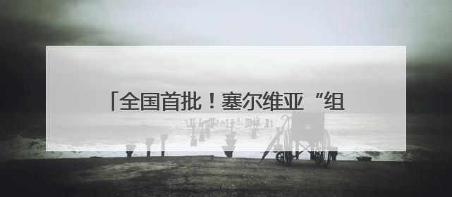 全国首批！塞尔维亚“组团进口”产品运抵厦门
