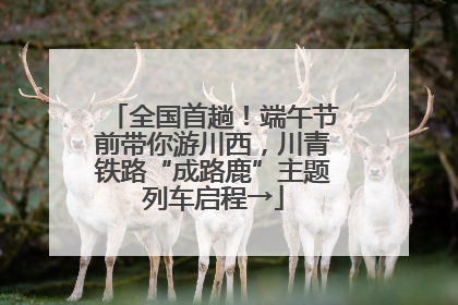 全国首趟！端午节前带你游川西，川青铁路“成路鹿”主题列车启程→