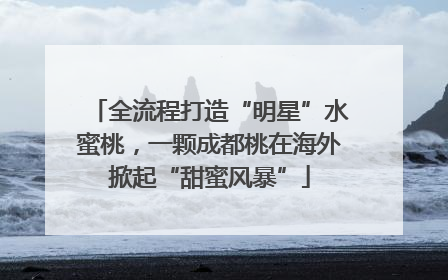 全流程打造“明星”水蜜桃，一颗成都桃在海外掀起“甜蜜风暴”