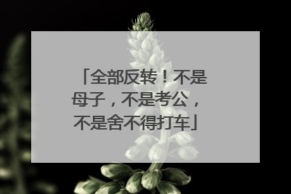 全部反转！不是母子，不是考公，不是舍不得打车