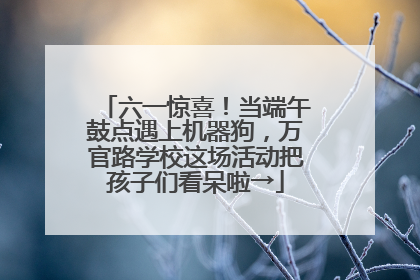 六一惊喜！当端午鼓点遇上机器狗，万官路学校这场活动把孩子们看呆啦→