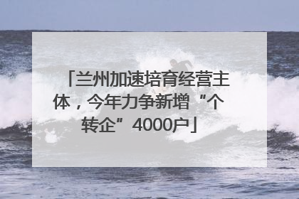 兰州加速培育经营主体，今年力争新增“个转企”4000户