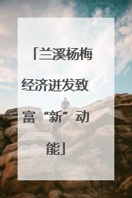 兰溪杨梅经济迸发致富“新”动能