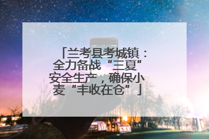 兰考县考城镇：全力备战“三夏”安全生产，确保小麦“丰收在仓”