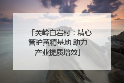 关岭白岩村：精心管护黄精基地 助力产业提质增效