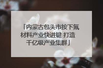 内蒙古包头市按下氟材料产业快进键 打造千亿级产业集群