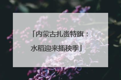 内蒙古扎赉特旗：水稻迎来插秧季