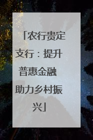 农行贵定支行：提升普惠金融 助力乡村振兴