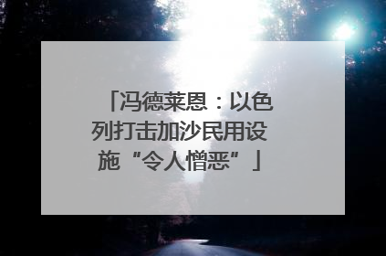 冯德莱恩：以色列打击加沙民用设施“令人憎恶”