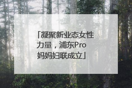 凝聚新业态女性力量，浦东Pro妈妈妇联成立