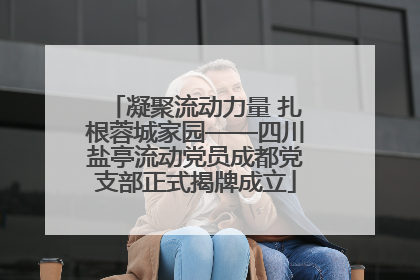 凝聚流动力量 扎根蓉城家园——四川盐亭流动党员成都党支部正式揭牌成立
