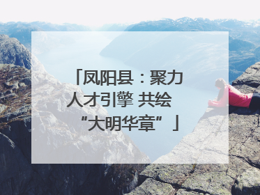 凤阳县：聚力人才引擎 共绘“大明华章”