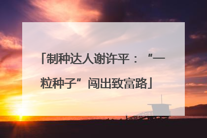 制种达人谢许平：“一粒种子”闯出致富路