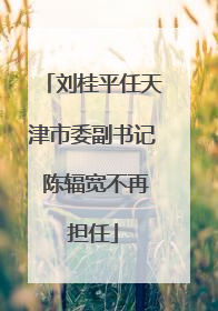 刘桂平任天津市委副书记 陈辐宽不再担任
