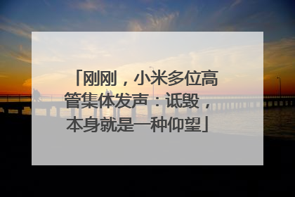 刚刚，小米多位高管集体发声：诋毁，本身就是一种仰望