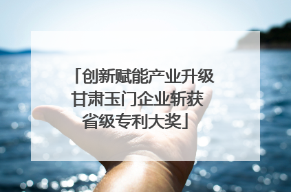 创新赋能产业升级 甘肃玉门企业斩获省级专利大奖