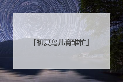 初夏鸟儿育雏忙