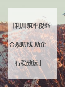 利川筑牢税务合规防线 助企行稳致远