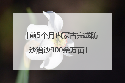 前5个月内蒙古完成防沙治沙900余万亩