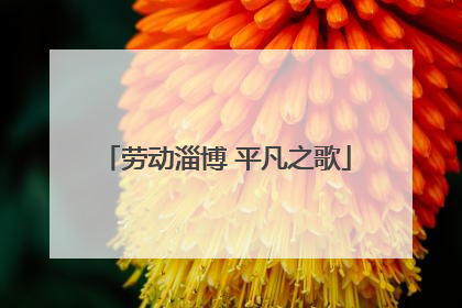 劳动淄博 平凡之歌