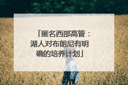 匿名西部高管：湖人对布朗尼有明确的培养计划