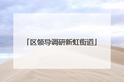 区领导调研新虹街道