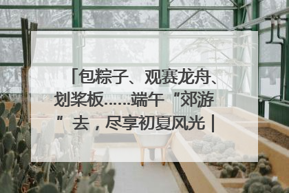 包粽子、观赛龙舟、划桨板……端午“郊游”去，尽享初夏风光｜端午氛围最浓时①